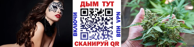 Купить закладки Мичуринск Шишки марихуана планчик